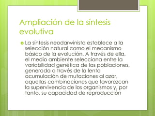 Ampliación de la síntesis
evolutiva
 La síntesis neodarwinista establece a la
selección natural como el mecanismo
básico de la evolución. A través de ella,
el medio ambiente selecciona entre la
variabilidad genética de las poblaciones,
generada a través de la lenta
acumulación de mutaciones al azar,
aquellas combinaciones que favorezcan
la supervivencia de los organismos y, por
tanto, su capacidad de reproducción
 