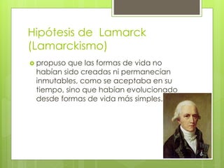 Hipótesis de Lamarck
(Lamarckismo)
 propuso que las formas de vida no
habían sido creadas ni permanecían
inmutables, como se aceptaba en su
tiempo, sino que habían evolucionado
desde formas de vida más simples.
 