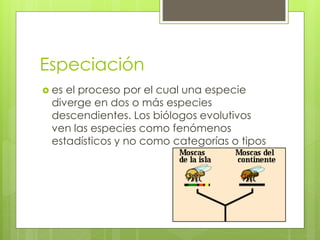 Especiación
 es el proceso por el cual una especie
diverge en dos o más especies
descendientes. Los biólogos evolutivos
ven las especies como fenómenos
estadísticos y no como categorías o tipos
 
