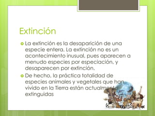 Extinción
 La extinción es la desaparición de una
especie entera. La extinción no es un
acontecimiento inusual, pues aparecen a
menudo especies por especiación, y
desaparecen por extinción.
 De hecho, la práctica totalidad de
especies animales y vegetales que han
vivido en la Tierra están actualmente
extinguidas
 