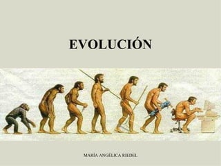 MARÍA ANGÉLICA RIEDEL
EVOLUCIÓN
 