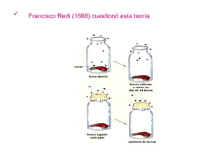 Francisco Redi (1668) cuestionó esta teoría   