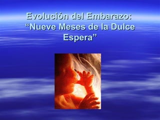 Evolución del Embarazo:  “Nueve Meses de la Dulce Espera” 