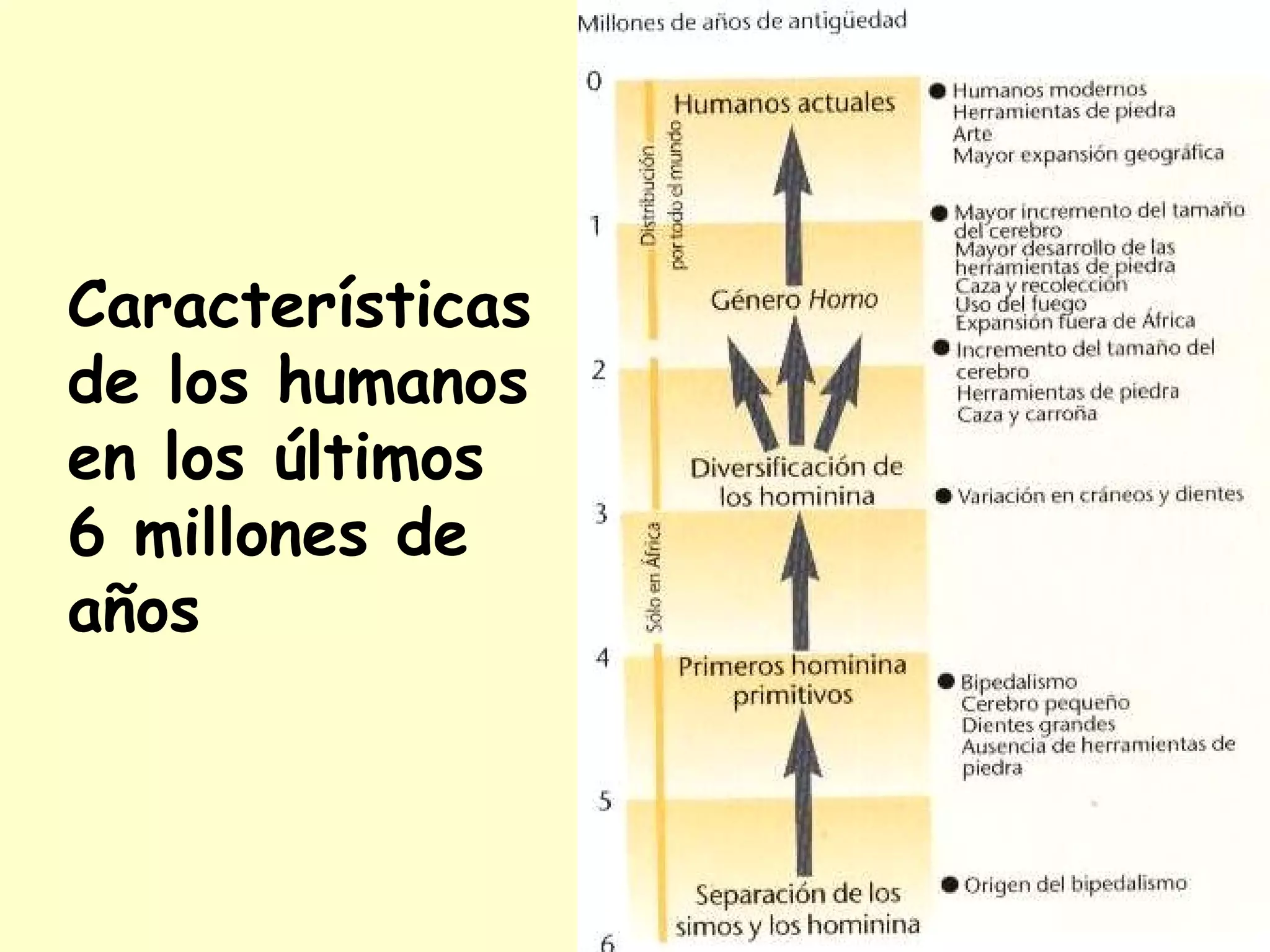 Localización de los principales yacimientos con fósiles de  Australopithecus  y  Ardipithecus 
