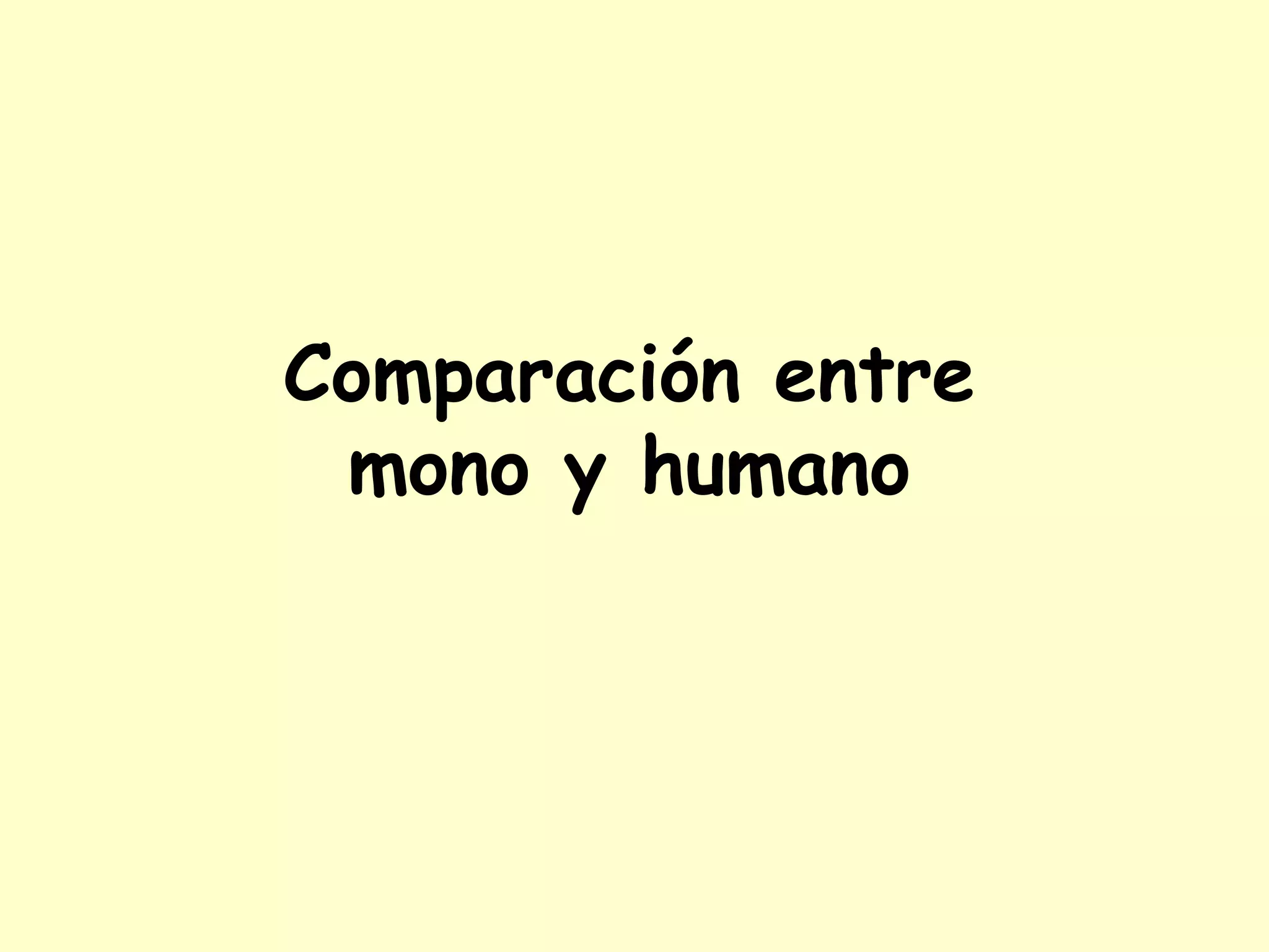 EVOLUCIÓN HUMANA Esquema evolutivo para el género  Homo , a partir del momento del poblamiento de Eurasia. Se incluye la especie recién creada  Homo antecessor.  Según Arsuaga y Martínez 