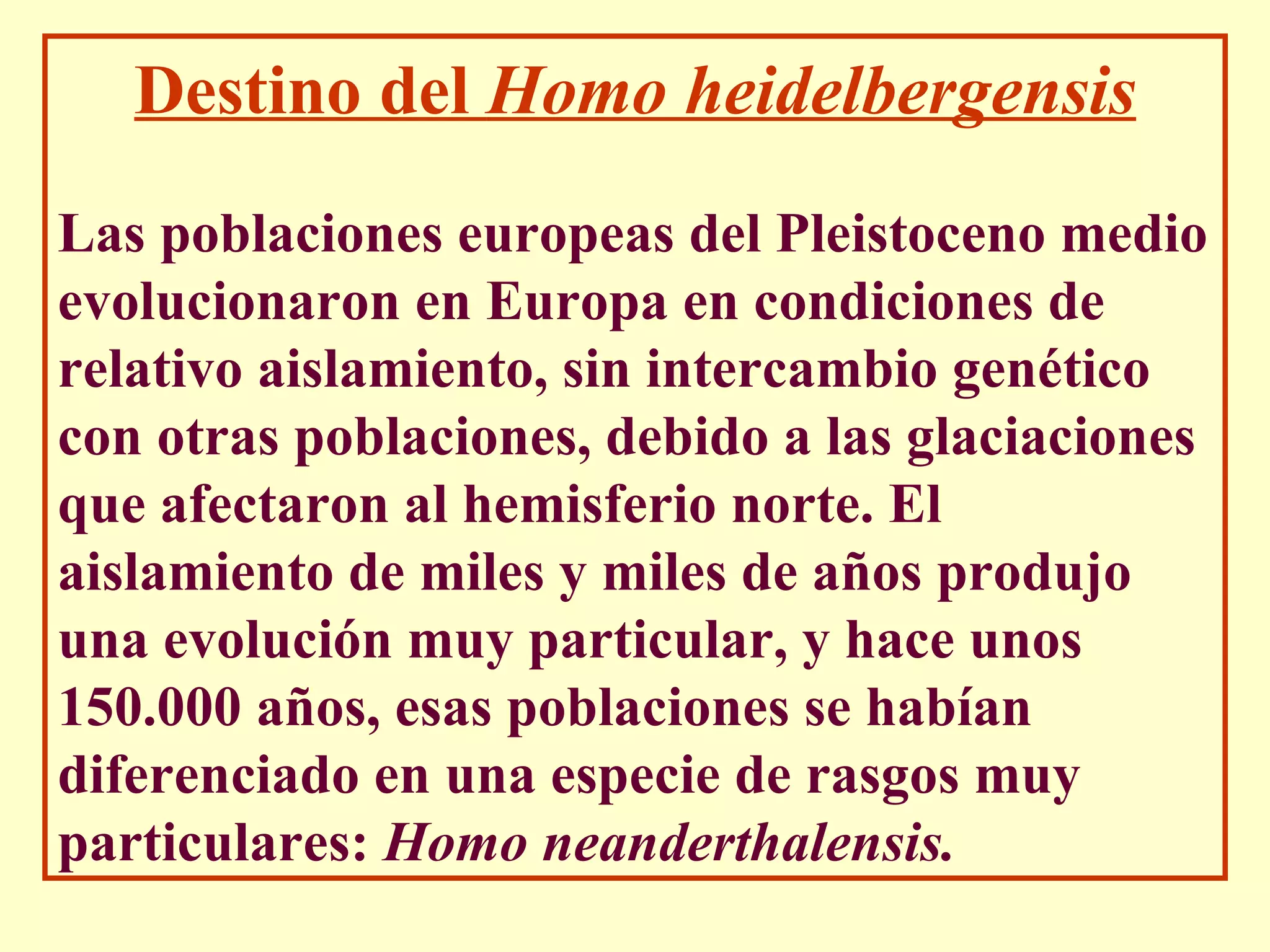 Árbol evolutivo humano 