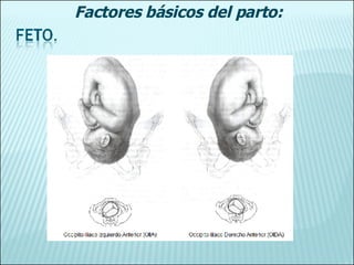 Factores básicos del parto: 
