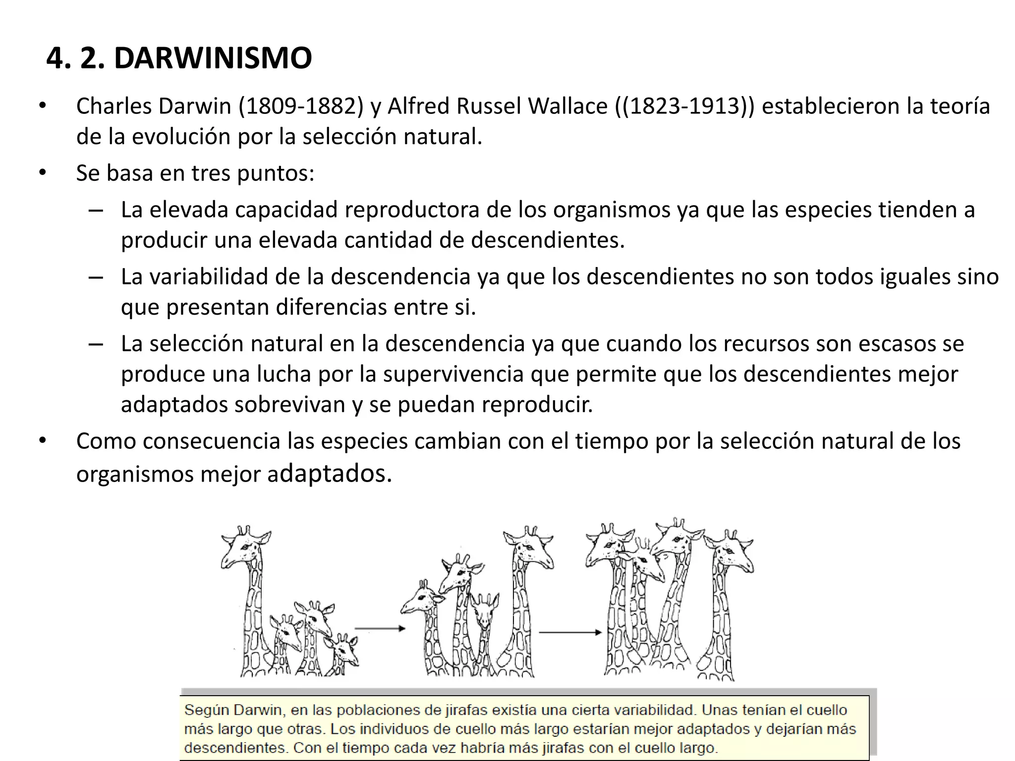 Evolución y origen de la vida | PDF