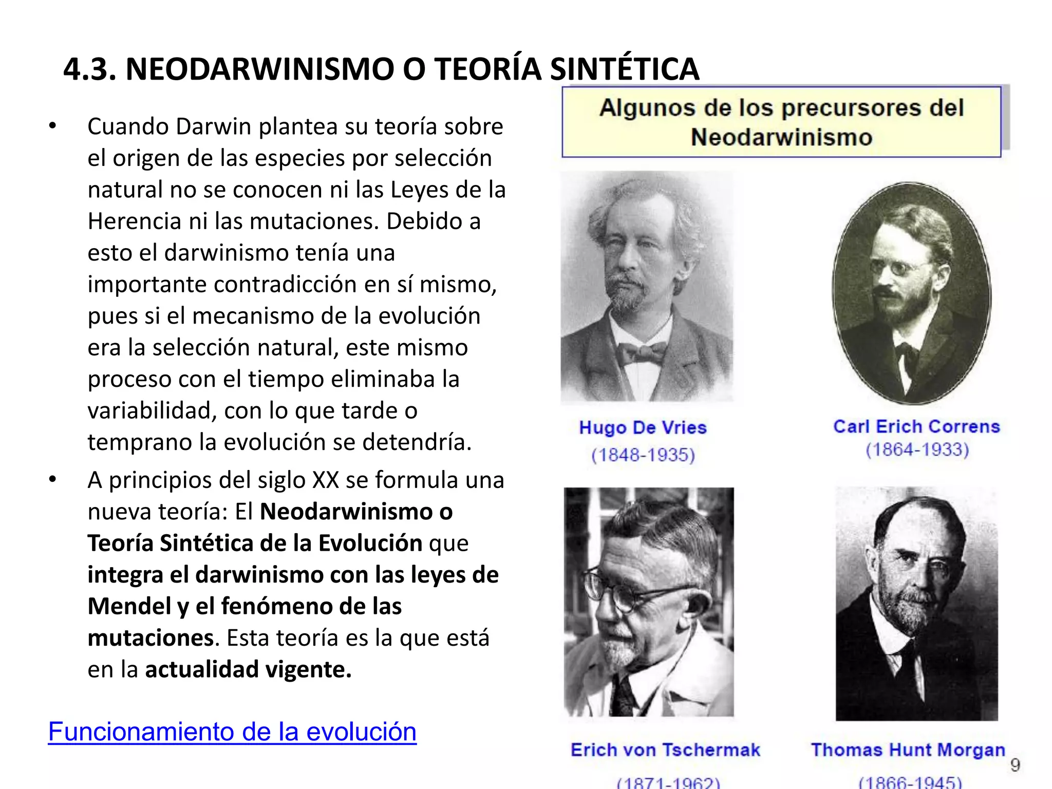 Evolución y origen de la vida | PDF