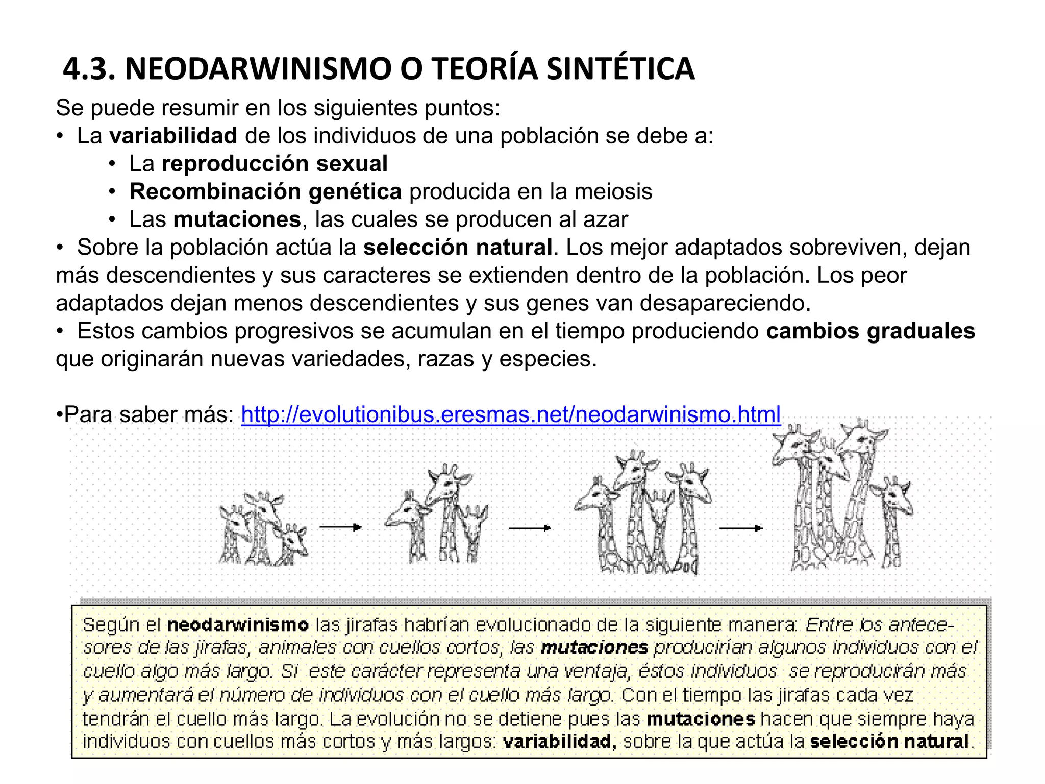 Evolución y origen de la vida | PDF
