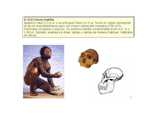Evolución y origen de la vida | PDF