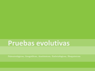 Paleontológicas, Geográficas, Anatómicas, Embriológicas, Bioquímicas  