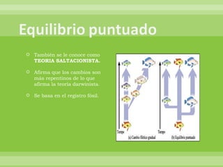 También se le conoce como  TEORIA SALTACIONISTA. Afirma que los cambios son más repentinos de lo que afirma la teoría darwinista. Se basa en el registro fósil. 