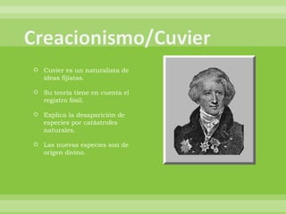 Cuvier es un naturalista de ideas fijistas. Su teoría tiene en cuenta el registro fósil. Explica la desaparición de especies por catástrofes naturales. Las nuevas especies son de origen divino. 