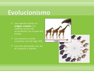 Las especies tienen un  origen común , los cambios se han ido acumulando con el paso del tiempo. Las primeras teorías evolutivas son del siglo XIX. Las más destacadas son las de Lamarck y Darwin. 