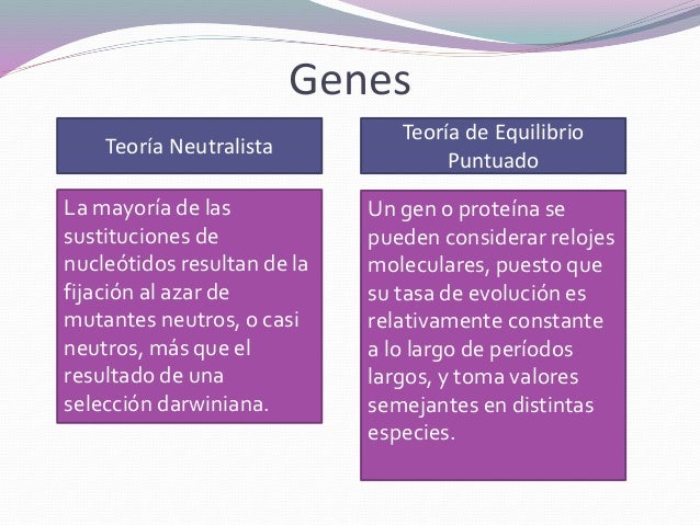 Resultado de imagen de gradualismo vs equilibrio puntuado vs neutralismo