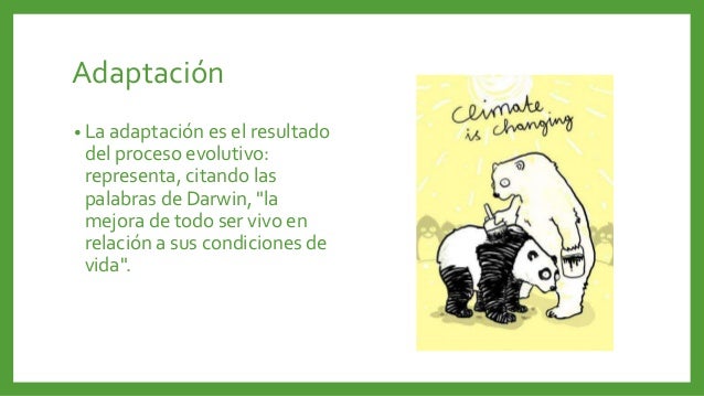 Evolución biologica, adaptación y conceptos.