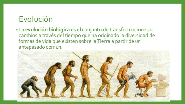 Evolución biologica, adaptación y conceptos.