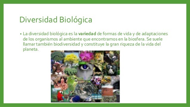Evolución biologica, adaptación y conceptos.