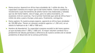  Homo erectus: Apareció en áfrica hace alrededor de 1 millón de años. Su
capacidad craneana era mayor que la del homo habilis. Fueron cazadores y
recolectores cuyas herramienta de piedra fueron mas elaboradas y talladas
que las del homo habilis. Usó el fuego, pero no sabía encenderlo, en
ocasiones vivió en cavernas. Fue el primer homínido que salió de áfrica hace 1
millón de años y pasó a Europa y Asia para, finalmente, extinguirse.
 Homo sapiens: Es nuestra propia especie, apareció en áfrica hace alrededor
de 150.000 años. Tienen un volumen cerebral superior a 1.350 cm3, en un
adulto lo habitual es de 1.400 a 1500 am3.
 Hombre de Neandertal: Su capacidad craneana excedió la del homo sapiens
ya que oscilaba entre 1.500 y 1.600 cm3. El mayor volumen cerebral fue a
predominio de lóbulos parietales a diferencia de nuestro cerebro de en donde
predomina el desarrollo de la corteza prefrontal.
 