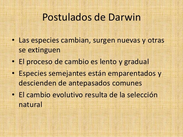 Los 5 postulados clave de la teoría de la evolución: ¡Descúbrelos aquí!_teoria_online Teoria de la evolucion postulados_teoria_online