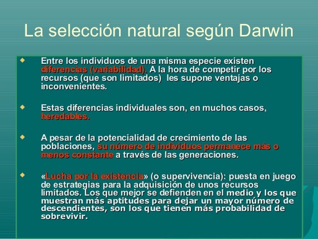 Website X5 Evolution Ventajas Y Desventajas