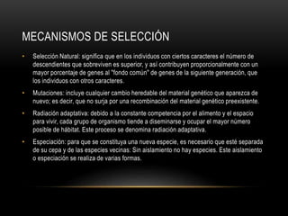 MECANISMOS DE SELECCIÓN
• Selección Natural: significa que en los individuos con ciertos caracteres el número de
descendientes que sobreviven es superior, y así contribuyen proporcionalmente con un
mayor porcentaje de genes al "fondo común" de genes de la siguiente generación, que
los individuos con otros caracteres.
• Mutaciones: incluye cualquier cambio heredable del material genético que aparezca de
nuevo; es decir, que no surja por una recombinación del material genético preexistente.
• Radiación adaptativa: debido a la constante competencia por el alimento y el espacio
para vivir, cada grupo de organismo tiende a diseminarse y ocupar el mayor número
posible de hábitat. Este proceso se denomina radiación adaptativa.
• Especiación: para que se constituya una nueva especie, es necesario que esté separada
de su cepa y de las especies vecinas: Sin aislamiento no hay especies. Este aislamiento
o especiación se realiza de varias formas.
 