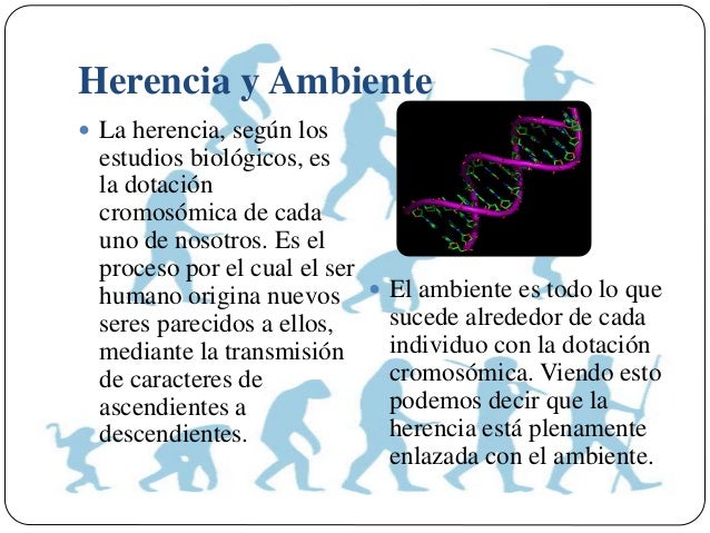 Resultado de imagen para herencia genetica y ambiental