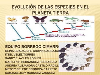 EVOLUCIÓN DE LAS ESPECIES EN EL
           PLANETA TIERRA




EQUIPO BORREGO CIMARRON 7
REINA GUADALUPE CHUPIN CARBAJAL
ITZEL VELEZ TORRES
SANDY E. AVILES ROBLES
MARILYN F. HERNANDEZ HERNANDEZ
ANDREA ALEJANDRA CASTILO RADILLA
METZLY SELENE ESPINOZA CARRETO
SAMJASE JILIY MARQUEZ VASQUEZ
 