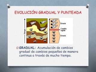 Gradualidad Evolución darwin y ev. gradual y punteada | PPTX