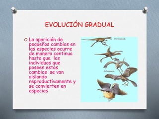 Gradualidad Evolución darwin y ev. gradual y punteada | PPTX