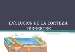 EVOLUCIÓN DE LA CORTEZA
TERRESTRE
 