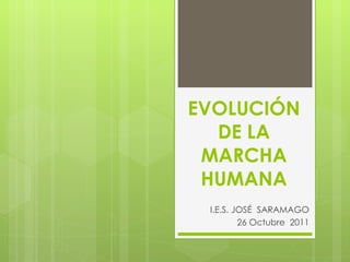 EVOLUCIÓN DE LA MARCHA HUMANA I.E.S. JOSÉ  SARAMAGO 26 Octubre  2011 