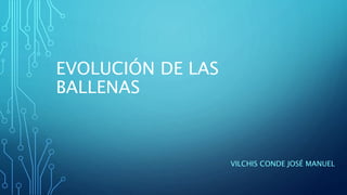 EVOLUCIÓN DE LAS
BALLENAS
VILCHIS CONDE JOSÉ MANUEL
 