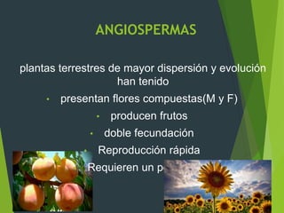 ANGIOSPERMAS
plantas terrestres de mayor dispersión y evolución
han tenido
• presentan flores compuestas(M y F)
• producen frutos
• doble fecundación
• Reproducción rápida
• Requieren un polinizador
 