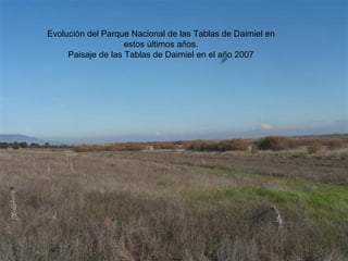 Evolución del Parque Nacional de las Tablas de Daimiel en estos últimos años. Paisaje de las Tablas de Daimiel en el año 2007 