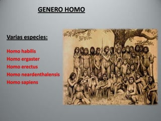 GENERO HOMO


Varias especies:

Homo habilis
Homo ergaster
Homo erectus
Homo neardenthalensis
Homo sapiens
 
