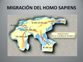 MIGRACIÓN DEL HOMO SAPIENS
 