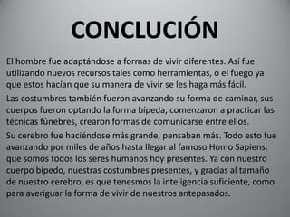 CONCLUCIÓN
El hombre fue adaptándose a formas de vivir diferentes. Así fue
utilizando nuevos recursos tales como herramientas, o el fuego ya
que estos hacían que su manera de vivir se les haga más fácil.
Las costumbres también fueron avanzando su forma de caminar, sus
cuerpos fueron optando la forma bípeda, comenzaron a practicar las
técnicas fúnebres, crearon formas de comunicarse entre ellos.
Su cerebro fue haciéndose más grande, pensaban más. Todo esto fue
avanzando por miles de años hasta llegar al famoso Homo Sapiens,
que somos todos los seres humanos hoy presentes. Ya con nuestro
cuerpo bípedo, nuestras costumbres presentes, y gracias al tamaño
de nuestro cerebro, es que tenesmos la inteligencia suficiente, como
para averiguar la forma de vivir de nuestros antepasados.
 