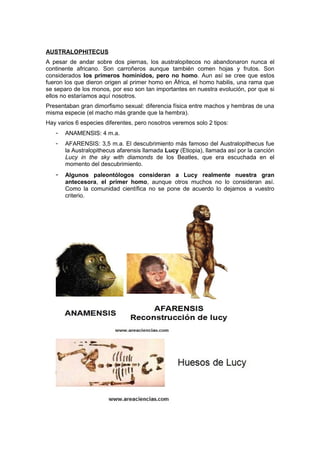 AUSTRALOPHITECUS
A pesar de andar sobre dos piernas, los australopitecos no abandonaron nunca el
continente africano. Son carroñeros aunque también comen hojas y frutos. Son
considerados los primeros homínidos, pero no homo. Aun así se cree que estos
fueron los que dieron origen al primer homo en África, el homo habilis, una rama que
se separo de los monos, por eso son tan importantes en nuestra evolución, por que si
ellos no estaríamos aquí nosotros.
Presentaban gran dimorfismo sexual: diferencia física entre machos y hembras de una
misma especie (el macho más grande que la hembra).
Hay varios 6 especies diferentes, pero nosotros veremos solo 2 tipos:
- ANAMENSIS: 4 m.a.
- AFARENSIS: 3,5 m.a. El descubrimiento más famoso del Australopithecus fue
la Australopithecus afarensis llamada Lucy (Etiopia), llamada así por la canción
Lucy in the sky with diamonds de los Beatles, que era escuchada en el
momento del descubrimiento.
- Algunos paleontólogos consideran a Lucy realmente nuestra gran
antecesora, el primer homo, aunque otros muchos no lo consideran así.
Como la comunidad científica no se pone de acuerdo lo dejamos a vuestro
criterio.
 