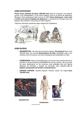 HOMO ANTECESSOR
Primer homo poblador Europeo. 800.000 años atrás en el tiempo, una especie
común a los neandertales y a los homo sapiens vivía en la Sierra de Atapuerca
(Burgos). Homo antecessor salió a la luz en 1997 Homo Antecessor, vivió, cazó
y murió en la sierra burgalesa de Atapuerca, y evolucionó en Europa hacia una
especie más moderna, muy similar al Homo sapiens
Todos los individuos presentan algún estigma de canibalismo.
HOMO SAPIENS
- NEANDERTHAL: No esta claro que fuera sapiens. Se extinguió hace unos
300.000 años, por eso no descendemos de ellos. Realizaba culto a sus
muertos (como el excavar una fosa rectangular para depositarlo en ella).
- CROMAGNON: Hace unos 50.000 años, una nueva raza humana eliminó al
primitivo e inculto hombre de NEANDERTAL de sus cuevas y de sus zonas
de caza. Aparecieron en las cavernas unos grabados que son figuras
plásticas de animales y mujeres de tremendo valor expresivo. Es el
legítimo antepasado del hombre contemporáneo.
- SAPIENS SAPIENS: Nuestra especie. Hombre actual. Se originó hace
150.000 años.
 