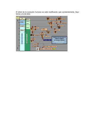 El árbol de la evolución humana se está modificando casi constantemente. Aquí
tienes uno de ellos:
 