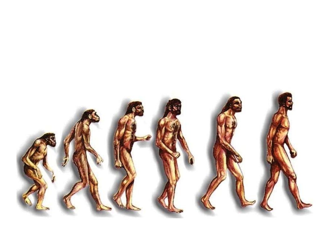 Evolución del hombre y revolución del neolítico