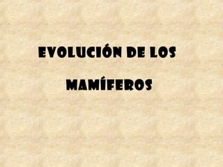 EVOLUCIÓN DE LOS
MAMÍFEROS
 