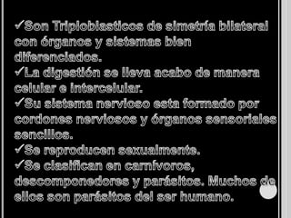 Son organismos de distribución amplia que se han adaptados a ambientes terrestres, marinos y acuáticos.Hasta ahora has sido descritas 20 mil especies 