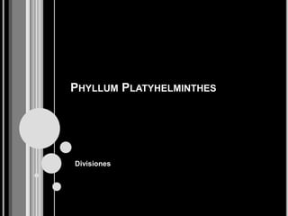 CARECEN DE APARATO CIRCULATORIO Y RESPIRATORIO}SEGÚN SU NUTRICION SON PARASITOS Y CARNIVOROS,Y……….PUEDEN SER CANIVALES….PERO SU TEGIDO SE REGENERA.SUS MOVIMIENTOS SE REALIZAN POR CILIOS QUE SE ENCUENTRAN EN EL TEJIDO EPITELIAL.SON HERMAFODITAS , SU REPRODUCCION ES CRUZADA , AUNQUE SE PUEDEN REPRODUCIR  DE FORMA ASEXUAL .PUEDEN VIVIR EN UNO O MAS HUESPEDES SEGÚN SU CICLO DE VIDA.