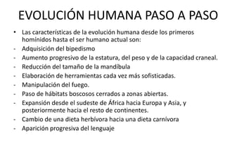 EVOLUCIÓN HUMANA PASO A PASO
• Las características de la evolución humana desde los primeros
homínidos hasta el ser humano actual son:
- Adquisición del bipedismo
- Aumento progresivo de la estatura, del peso y de la capacidad craneal.
- Reducción del tamaño de la mandíbula
- Elaboración de herramientas cada vez más sofisticadas.
- Manipulación del fuego.
- Paso de hábitats boscosos cerrados a zonas abiertas.
- Expansión desde el sudeste de África hacia Europa y Asia, y
posteriormente hacia el resto de continentes.
- Cambio de una dieta herbívora hacia una dieta carnívora
- Aparición progresiva del lenguaje