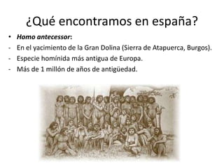 ¿Qué encontramos en españa?
• Homo antecessor:
- En el yacimiento de la Gran Dolina (Sierra de Atapuerca, Burgos).
- Especie homínida más antigua de Europa.
- Más de 1 millón de años de antigüedad.
