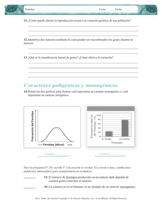 Nombre

Curso

Fecha

11. ¿Cómo puede afectar la reproducción sexual a la variación genética de una población?

12. Identifica dos maneras mediante la cual pueden ser recombinados los genes durante la
meiosis.

13. ¿Qué es la transferencia lateral de genes? ¿Cómo afecta a la variación?

Caracteres poligénicos y monogénicos

Frecuencia relativa
del Fenotipo (%)

Frecuencia del Fenotipo

14. Rotula los dos gráficos para ilustrar cuál representa un carácter monogénico y cuál
representa un carácter poligénico.

100
80
60
40
20
0
sin bandas

con bandas

Fenotipo

Fenotipo (altura)

Carácter___________

Carácter___________

Para las preguntas15–19, escribe V si la oración es verdad. Si la oración es falsa, cambia la(s)
palabra(s) subrayada(s) para transformarla en verdadera.

_________

15. El número de fenotipos producidos en un carácter dado depende de
cuantos genes controlan el carácter.

_________

16. La estatura en el ser humano es un ejemplo de un carácter monogénico.

S.F.C. Depto. de Ciencias• Copyright © by Pearson Education, Inc., or its afﬁliates. All Rights Reserved.

3

 