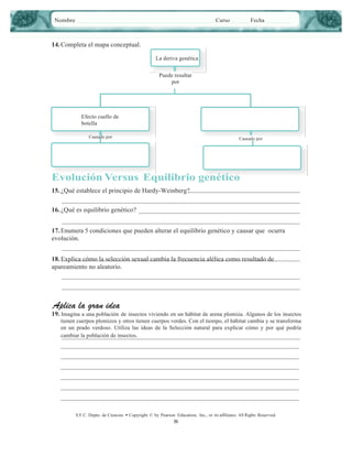 Nombre

Curso

Fecha

14. Completa el mapa conceptual.
La deriva genética
Puede resultar
por

Efecto cuello de
botella
Causado por

Causado por

Evolución Versus Equilibrio genético
15. ¿Qué establece el principio de Hardy-Weinberg?
16. ¿Qué es equilibrio genético?
17. Enumera 5 condiciones que pueden alterar el equilibrio genético y causar que ocurra
evolución.
18. Explica cómo la selección sexual cambia la frecuencia alélica como resultado de
apareamiento no aleatorio.

Aplica la gran idea

19. Imagina a una población de insectos viviendo en un hábitat de arena plomiza. Algunos de los insectos
tienen cuerpos plomizos y otros tienen cuerpos verdes. Con el tiempo, el hábitat cambia y se transforma
en un prado verdoso. Utiliza las ideas de la Selección natural para explicar cómo y por qué podría
cambiar la población de insectos.

S.F.C. Depto. de Ciencias • Copyright © by Pearson Education, Inc., or its afﬁliates. All Rights Reserved.

8

 